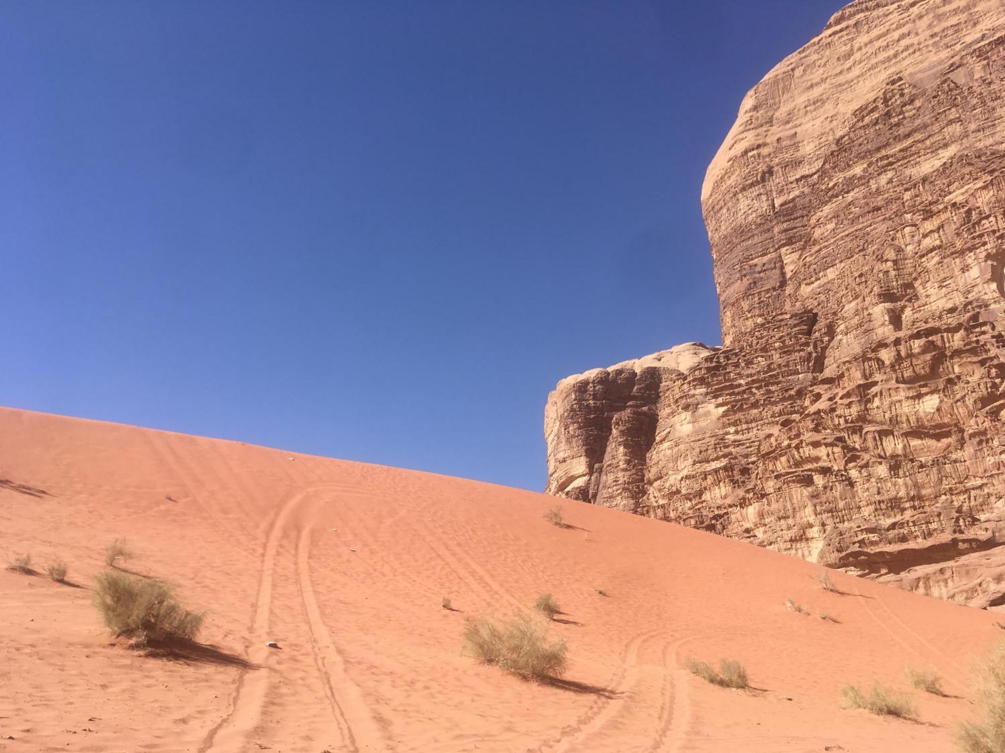 Ali BaBa Camp Hotel Wadi Rum Bagian luar foto