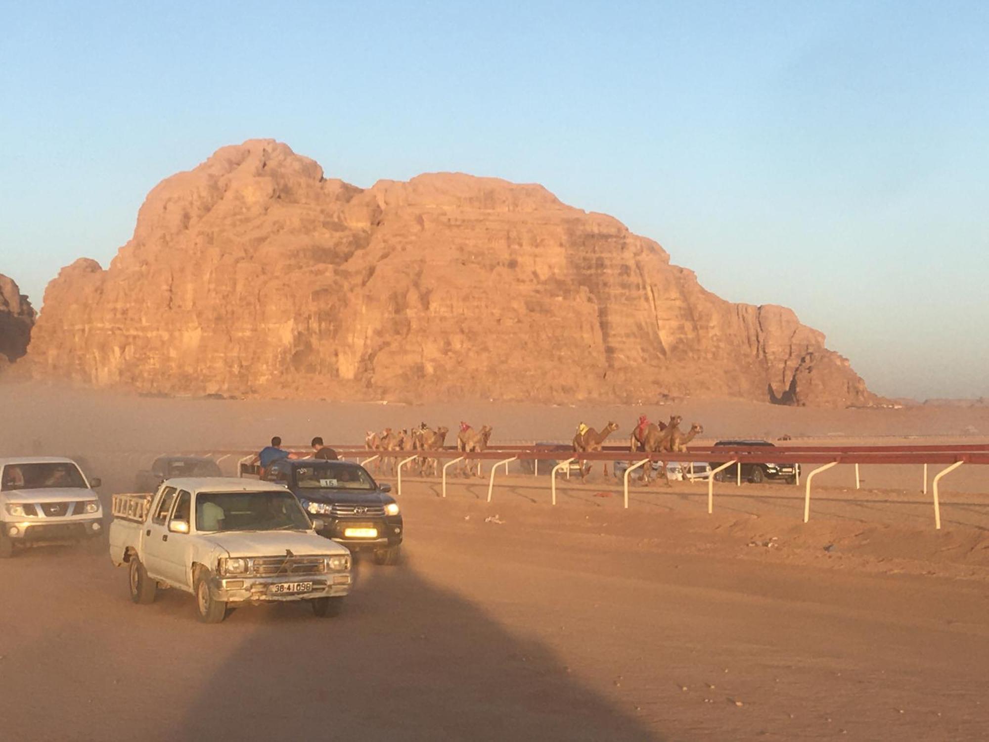 Ali BaBa Camp Hotel Wadi Rum Bagian luar foto